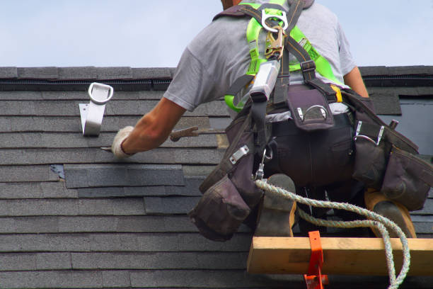 Best Roof Gutter Cleaning  in Mooreville, MS